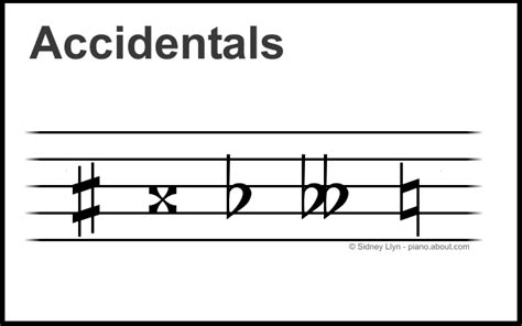 What Is Accidental in Music: A Multi-Perspective Exploration